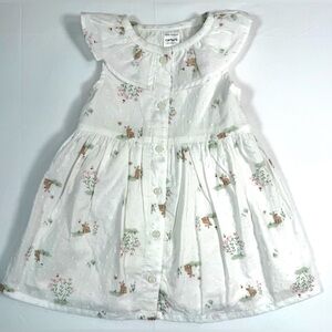 NWOT CARTER’S Baby Girls Sleeveless Button Front Dress 6M Bunny Floral Eyelet